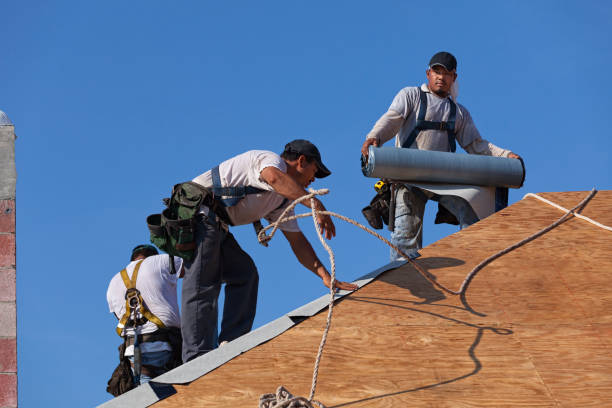 Best Metal Roofing Contractor  in Clarkson, KY